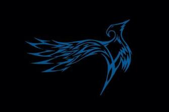 Nightwing Symbol Wallpaper HD