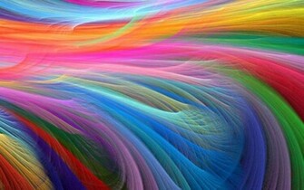 Feather Wallpaper Photography Gallery Pc