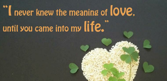 Cute I Love You Quotes HD Wallpaper Wallpapertube