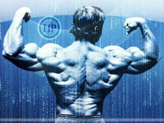 Sports Information Arnold Schwarzenegger Bodybuilding Wallpaper