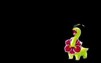 Grass Pok Mon HD Wallpaper Background Image