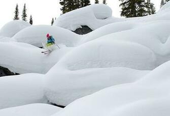 Displaying Gallery Image For Powder Skiing Wallpaper