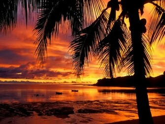 Tropical Sunset