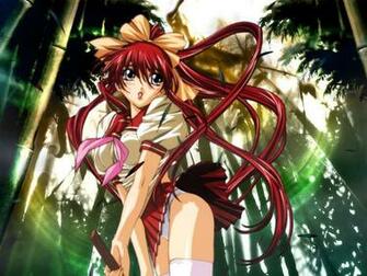 Samurai Girl Real Bout High School