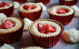 Cupcake Wallpaper And Desktop Background Solo Foods