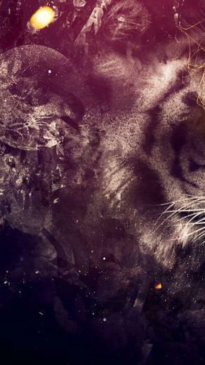 Abstract Tiger iPhone Wallpaper Background And Themes