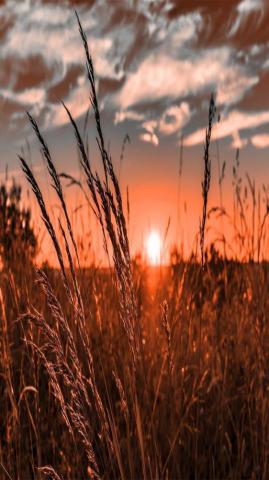 Sunset Wallpaper Western