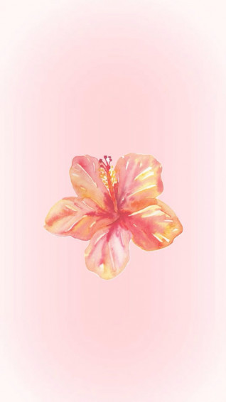 Cecf27be6e7cfd57db13e1de2d57765e Wallpaper