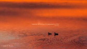 John De Ruiter Quote Art Wallpaper Agreement With