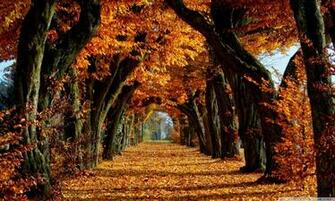 Wallpaper High Definition Fullscreen Mobile Dual Monitor