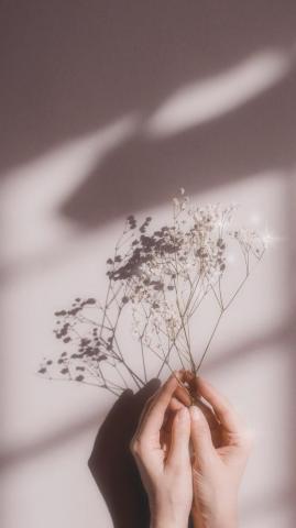 Woman Holding White Flowers On A Pink Premium Photo Rawpixel