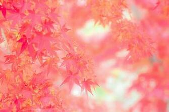 Pictures 4k 5k Wallpaper Imac Retina