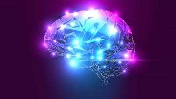 Best Brain Background Wallpaper
