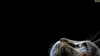 Best Dark Wallpaper In HD Black Green Earth