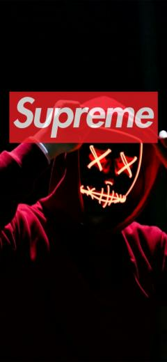 Supreme Wallpaper Background Barraques Cat
