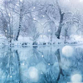 Cozy Winter Scenes Wallpaper