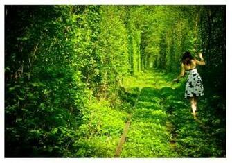 Kleven Ukraine Tunnel Of Love Jpg