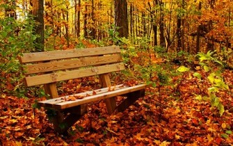 Nature HD Wallpaper Widescreen Full 1080p