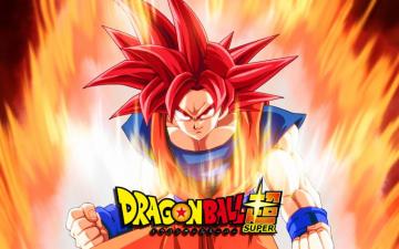 Goku Ssj God