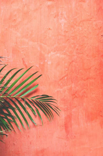 Peach Color Aesthetic Wallpaper