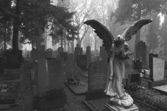 Added Jan Image Size Source Tinypic