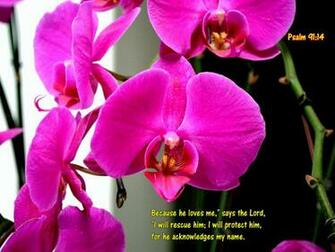 Christian Wallpaper May