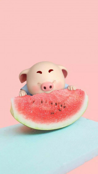 Cool Watermelon iPhone Wallpaper