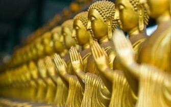 Buddha Statue iPhone Wallpaper Club Apps