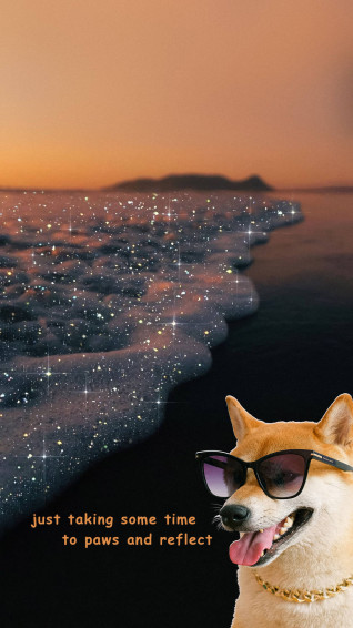 Funny Aesthetic Wallpaper