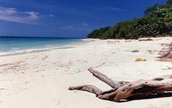 Jamaica Beach Wallpaper