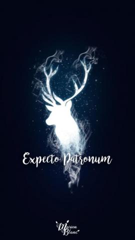 Harry Potter Marion Blanc Cytaty Z Ego