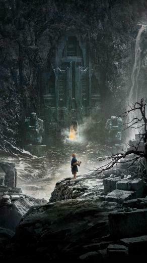 The Hobbit Desolation Of Smaug Phone Wallpaper In