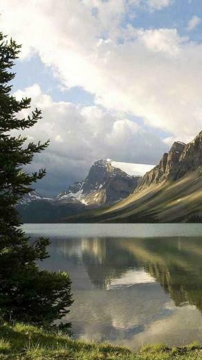 Nature Nexus Wallpaper HD And Background