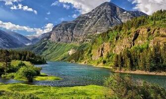 Nature Trees White Forests Grass Montana Creek Wallpaper