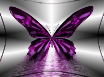 Beautiful Butterflies Wallpaper