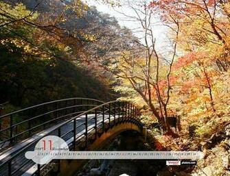 Calendar Wallpaper From Yahoo November Nature