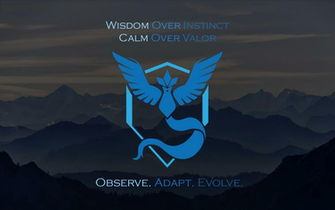 Go Team Mystic Observe Adapt Evolve