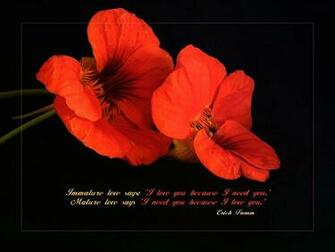 Wallpaper Love Quotes Desktop