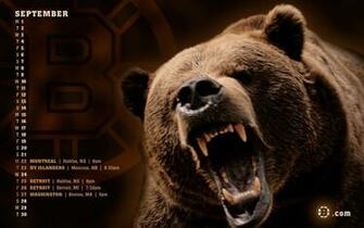 Grumpy Bear Wallpaper