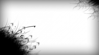 Black And White Wallpaper Abstract