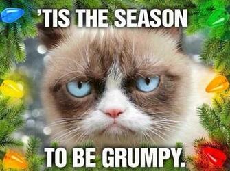 Grumpy Cat Gif Desktop Wallpaper S Wordpress