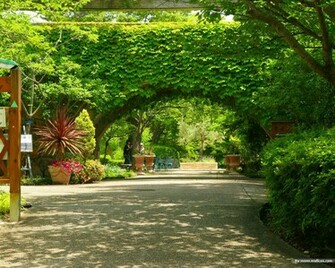 Japanese Garden Wallpaper