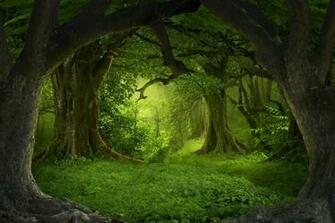 Jungle Southeast Asia Wall Mural Wallpaper Nature A Room For