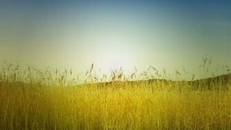 Late Summer Field Desktop Pc And Mac Wallpaper