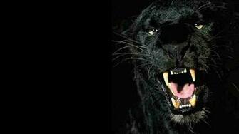 Sfondo Nera Pantera X HD Widescreen