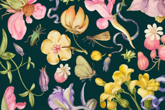 Vintage Wildflower Banner Image Wallpaper