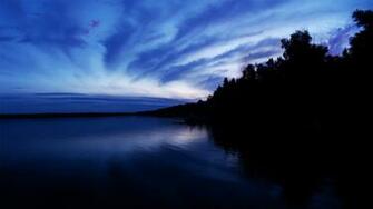 Nature Awesome Reptiles Wallpaper Background Shining Blue