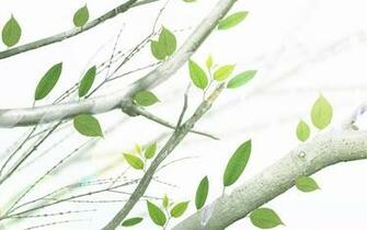 Leaves On Branches Wallpaper