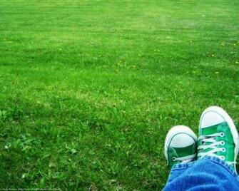 Green Nike Wallpaper Sneakers