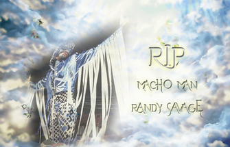 Macho Man Randy Savage Wallpaper